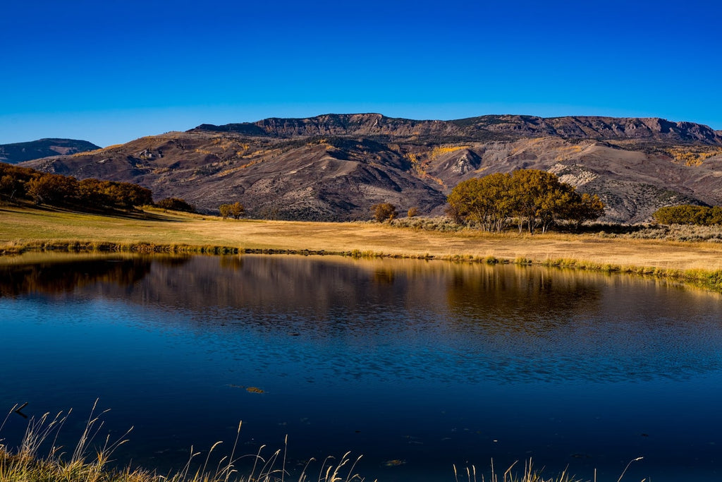 We've added a Fall 2023 Retreat and Patty Lyons will join us again