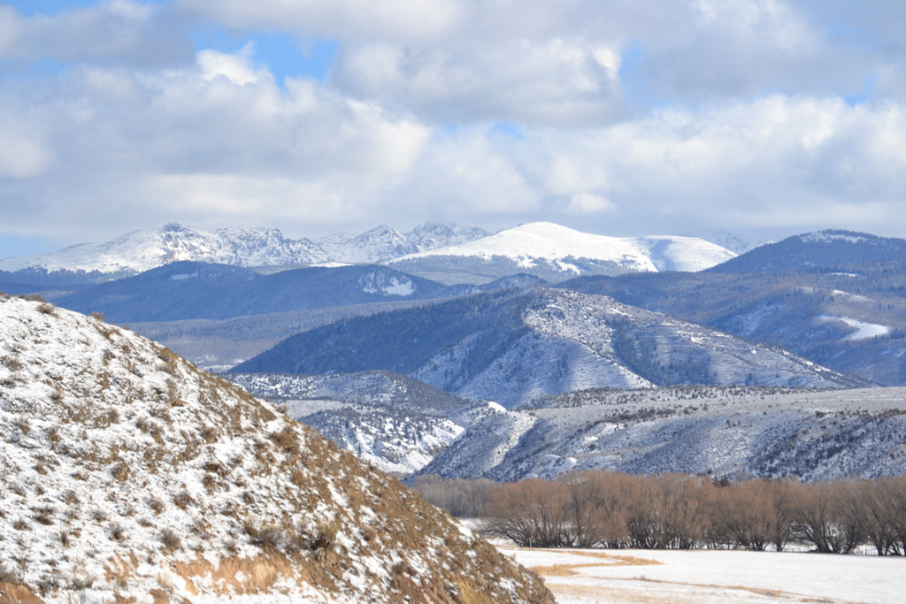 An April Brioche and Wintery Ranch Retreat with Bristol Ivy