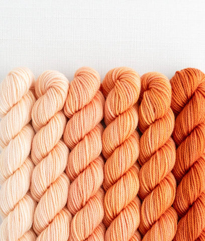 Sweet Georgia Mini Color Fade / Tough Love Sock