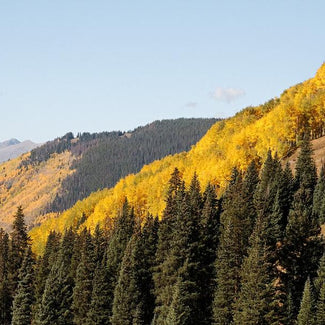 September 2026 Hiking and Knitting Retreat with Patty Lyons Teaching a New Class - Registration Open