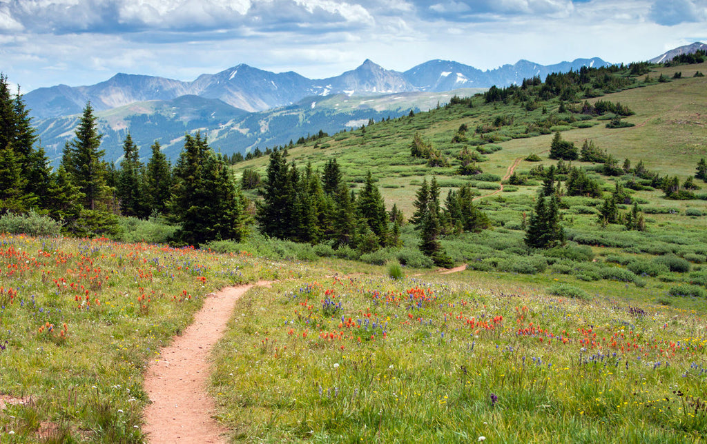 July 2026 Hiking+Knitting Retreat with Mary Jane Mucklestone - Registration Opens October 10th, 2025