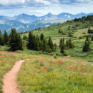 July 2026 Hiking+Knitting Retreat with Mary Jane Mucklestone - Registration Opens October 10th, 2025