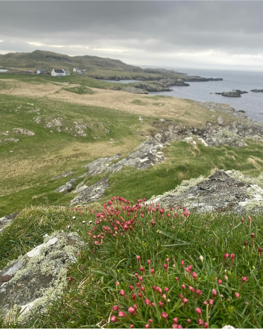 A Wooly Shetland Adventure with Gudrun!