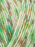 West Yorkshire Spinners Signature 4 Ply