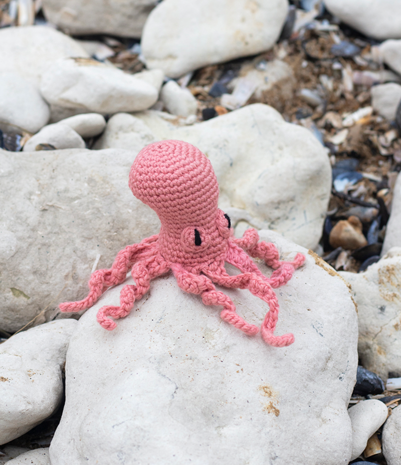 Kit de crochet à loquet pour adultes - Motif maison de chalet et canards - Motifs pré-imprimés Kit de crochet à loquet pour adultes - Motif maison de chalet et canards - Motifs pré-imprimés