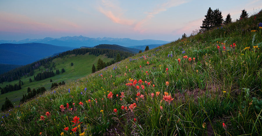 August 2024 Hiking and Knitting Retreat with Patty Lyons