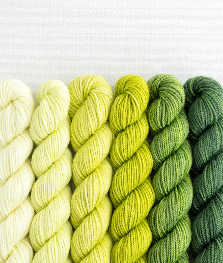 Sweet Georgia Mini Color Fade / Tough Love Sock