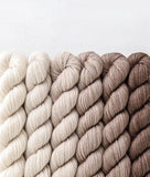 Sweet Georgia Mini Color Fade / Tough Love Sock