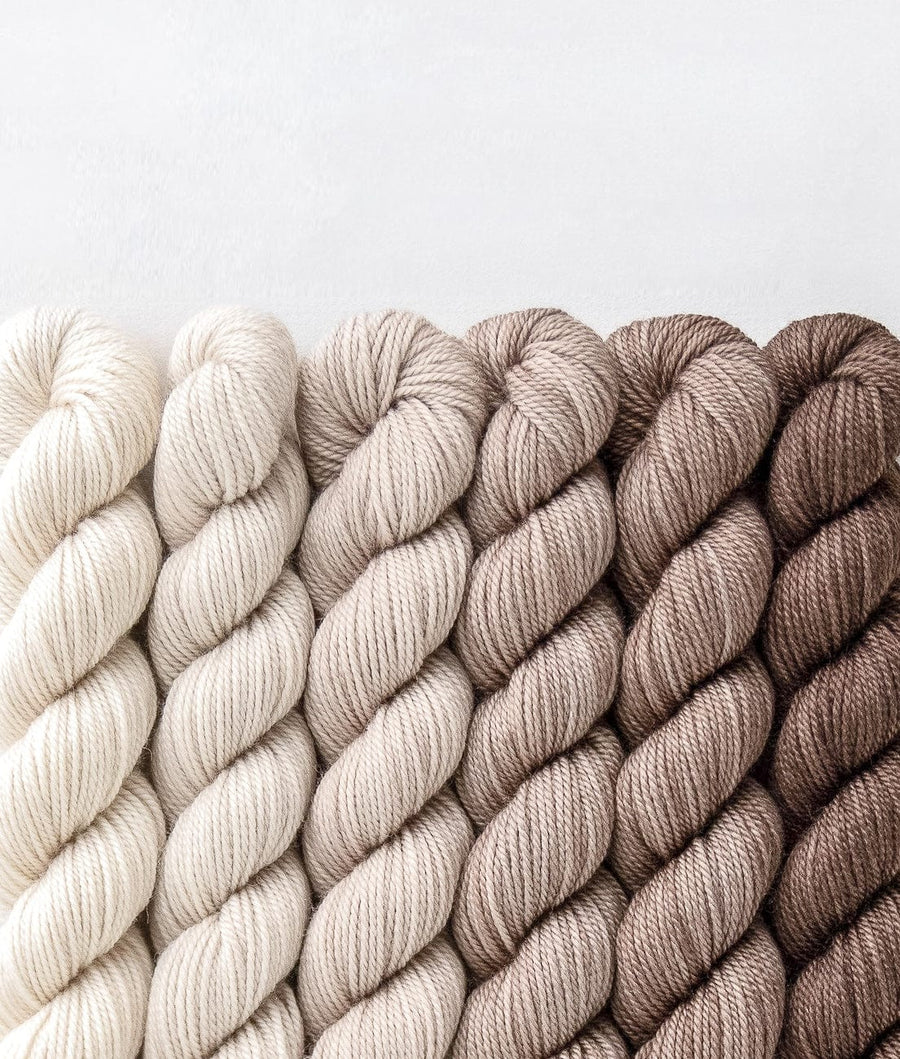 Sweet Georgia Mini Color Fade / Tough Love Sock