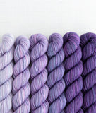 Sweet Georgia Mini Color Fade / Tough Love Sock