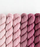 Sweet Georgia Mini Color Fade / Tough Love Sock