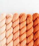 Sweet Georgia Mini Color Fade / Tough Love Sock