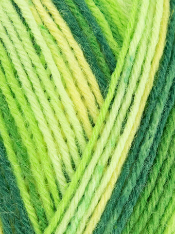 West Yorkshire Spinners Signature 4 Ply