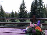 Summer 2023 Hiking and Knitting Retreat with Patty Lyons